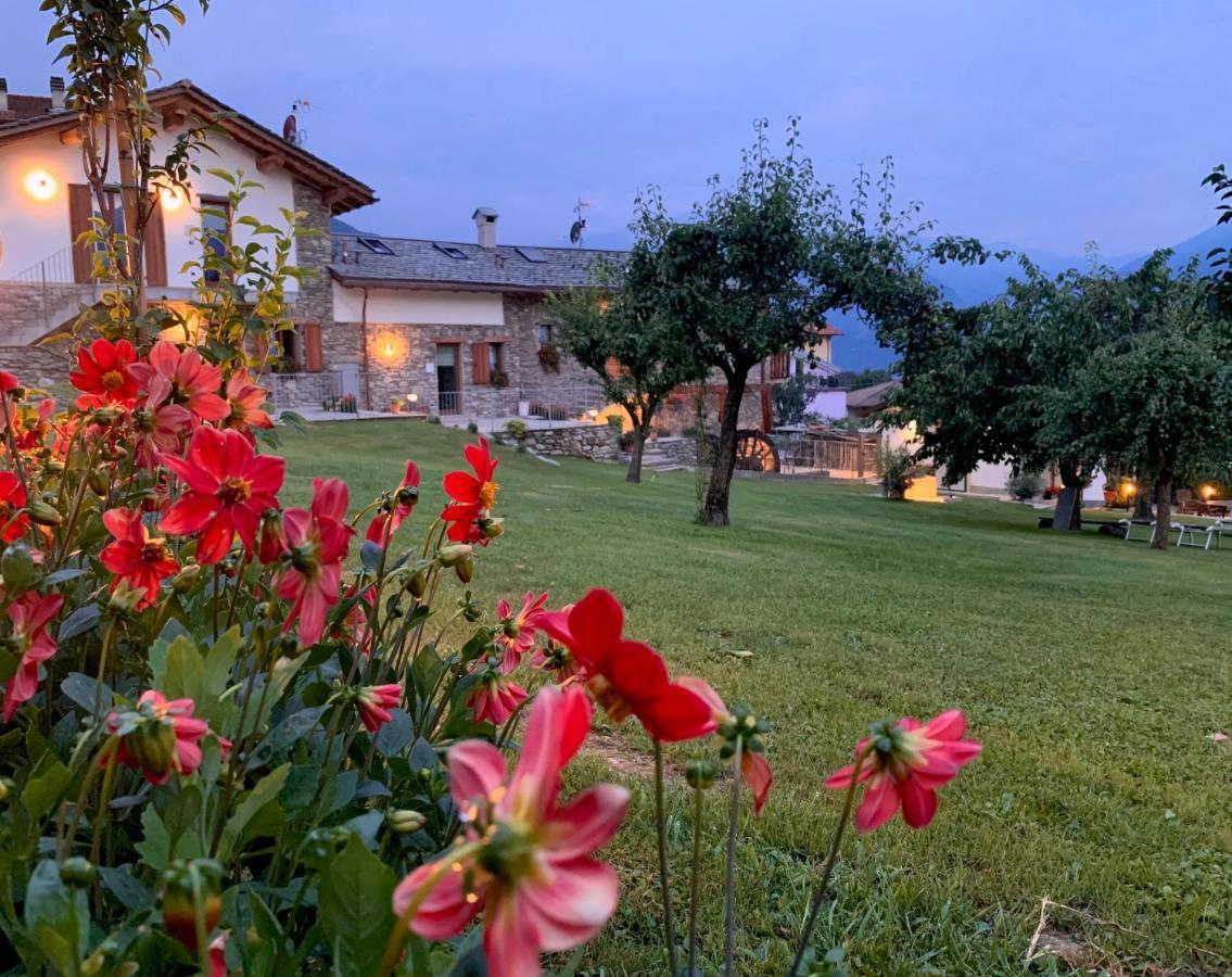 La Volta - Lake Como Heritage Home In Molino Maufet Watermill - Patio On The Garden 科利科 外观 照片